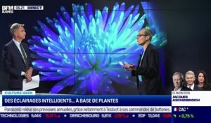Culture Geek : Des éclairages intelligents... à base de plantes, par Anthony Morel - 29/10
