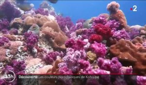 Thaïlande : les couleurs paradisiaques de Koh Lipe