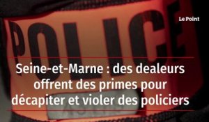 Seine-et-Marne : des dealeurs offrent des primes pour décapiter et violer des policiers