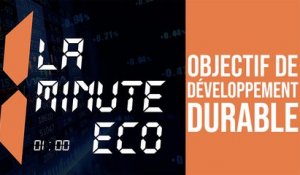 La minute Éco: Objectif de développement durable