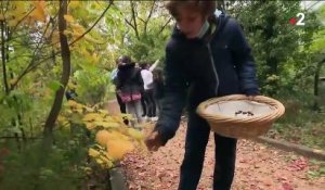 Environnement : dans les Bouches-du-Rhône, des ateliers pour apprendre aux enfants à prendre soin de la nature