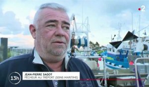 Licences de pêche : les professionnels inquiets en Normandie
