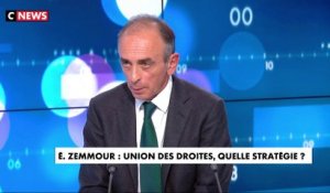 Éric Zemmour sur les candidats LR : «Ils font campagne pour être le Premier ministre d’Emmanuel Macron»