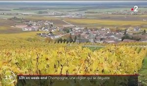 Champagne : à la découverte des vignobles de la Marne