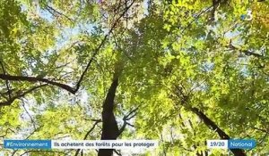 Environnement : acheter des forêts pour les protéger