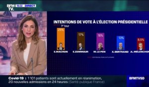 Un sondage donne Eric Zemmour au second tour de la présidentielle si Xavier Bertrand était le candidat des LR