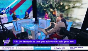 45% des Français ne vont pas acheter de sapin pour Noël - 11/11