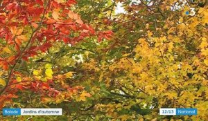 Somme : des jardins aux magnifiques couleurs d'automne