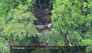 Témoignage : comment Antonio Sena a survécu durant 36 jours dans la jungle