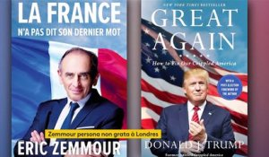 Éric Zemmour : le polémiste est-il inspiré par Donald Trump ?