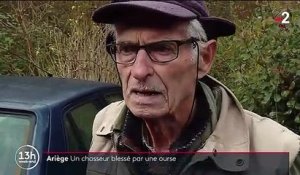Ariège : un chasseur agressé par une ourse