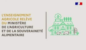 Tout savoir sur l'Enseignement agricole