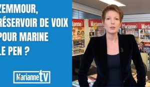 Zemmour, réservoir de voix pour Marine Le Pen ?