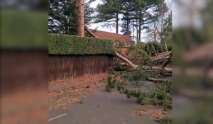 Tempête Arwen : trois personnes décédées au Royaume-Uni