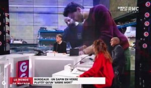 Le monde de Macron : Un sapin en verre à Bordeaux plutôt qu'un "arbre mort" - 30/11