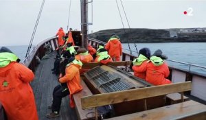 Islande : immersion dans la capitale mondiale des baleines