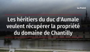 Les héritiers du duc d'Aumale veulent récupérer la propriété du domaine de Chantilly