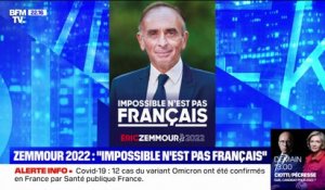 "Impossible n'est pas français": Éric Zemmour dévoile son slogan et son affiche de campagne