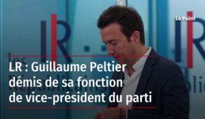 LR : Guillaume Peltier démis de sa fonction de vice-président du parti