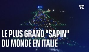 le plus grand "sapin" de Noël au monde s'illumine... en Italie