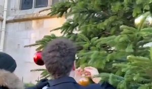 Face au sapin de Noël en verre du Maire écolo de Bordeaux, Génération Z installe un vrai sapin - La Mairie riposte et annonce que le conifère va être retiré