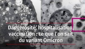 Dangerosité, hospitalisation, vaccination : ce que l’on sait du variant Omicron