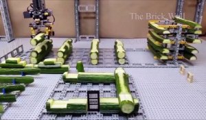 Un homme fait une maquette de maison avec des lego et des concombres