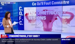 Qu'est-ce que l'endométriose, dont souffre une femme sur dix en France?