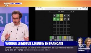 "Wordle", le Motus 2.0 existe aussi en français