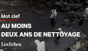 Une marée noire historique au Pérou après le tsunami des Iles Tonga