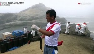 Le Pérou victime d'une marée noire due à un enchaînement de catastrophes