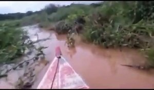Il navigue dans une rivière remplie de crocodiles