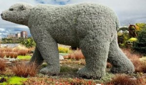 Québec : des centaines de sculptures végétales géantes exposées en hommage à la nature