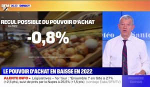 Le pouvoir d'achat devrait baisser de 0,8% en 2022, deuxième plus forte baisse en 30 ans