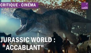 Faut-il aller aller voir "Jurassic World : le monde d’après" ?