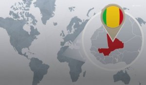 Mali : l'Ambassadeur de France renvoyé, les députés français réagissent