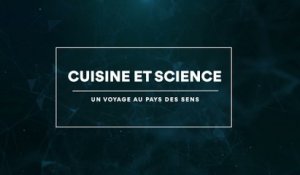 Cuisine et science : un voyage au pays des sens