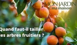 Quand faut-il tailler les arbres fruitiers ?