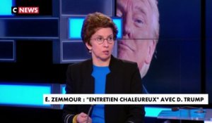 Véronique Jacquier : «Éric Zemmour veut une recomposition de la droite après 2022 ou 2027»