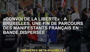 'Liberté' : A Bruxelles, le parcours des manifestants français dispersés s'achève