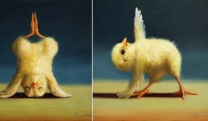 Cette artiste peint des poussins en train de faire du yoga, et le résultat est absolument génial