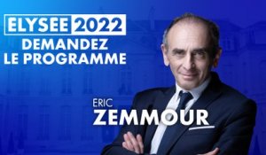 Demandez le Programme : Éric Zemmour