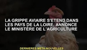 Le ministère de l'Agriculture annonce que la grippe aviaire se propage dans la région de la Loire