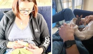 Une femme devient la maman adoptive d'un bébé wallaby et lui sauve la vie