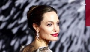 A 44 ans, Angelina Jolie pose entièrement nue et séduit ses fans