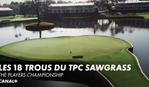 Les 18 trous du TPC Sawgrass, un chef d'oeuvre signé Pete Dye qui accueille le Players Championship