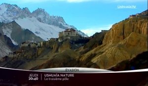 Ushuaïa Nature - Le troisième pôle - Ushuaïa TV