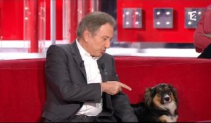 Michel Drucker gronde sa chienne qui a mordu Véronique Jannot - Vivement Dimanche