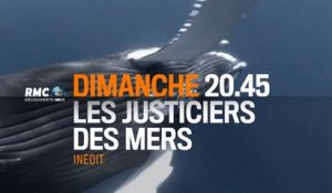 Les Justiciers des mers - Silence radio - 19/08/15