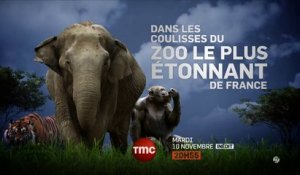Zoo de Pal dans les coulisses du zoo le plus étonnant de France - 10/11